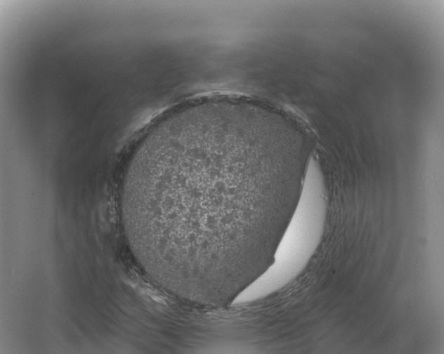 X0000064741159200602241746