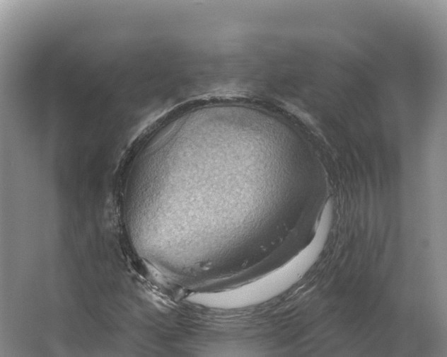 X0000064741160200602241746