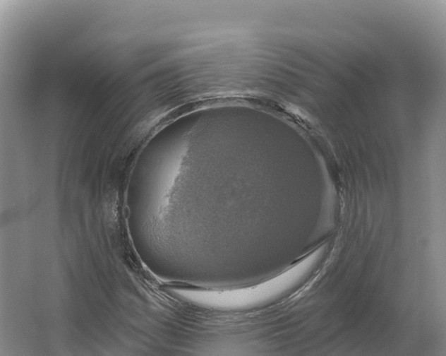 X0000064741161200602241746