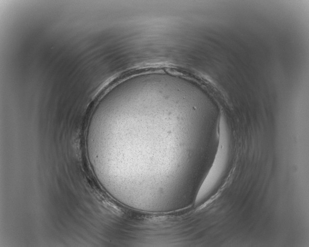 X0000064741162200602241746