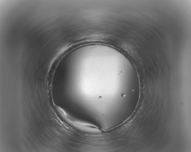 X0000064741164200602241746