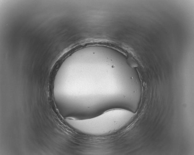 X0000064741165200602241746