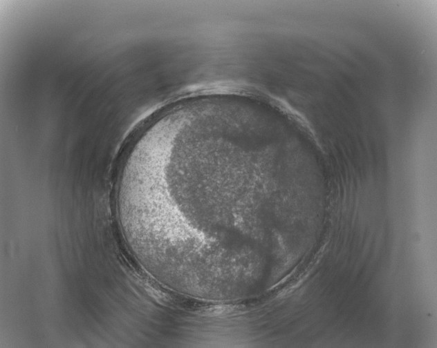 X0000064741166200602241746