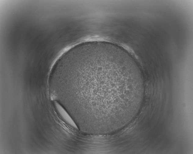 X0000064741167200602241746