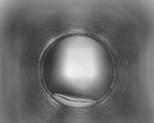 X0000064741168200602241746