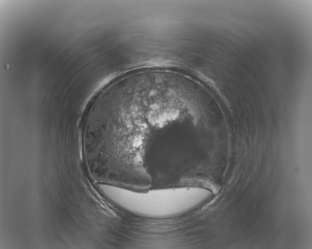 X0000064741171200602241746