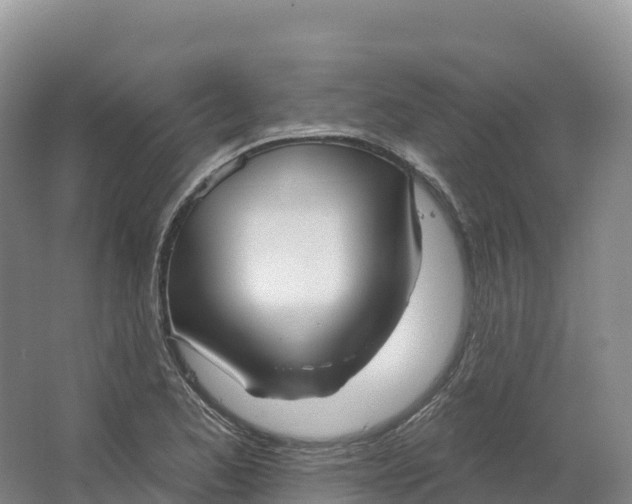 X0000064741173200602241746