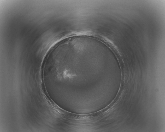 X0000064741174200602241745