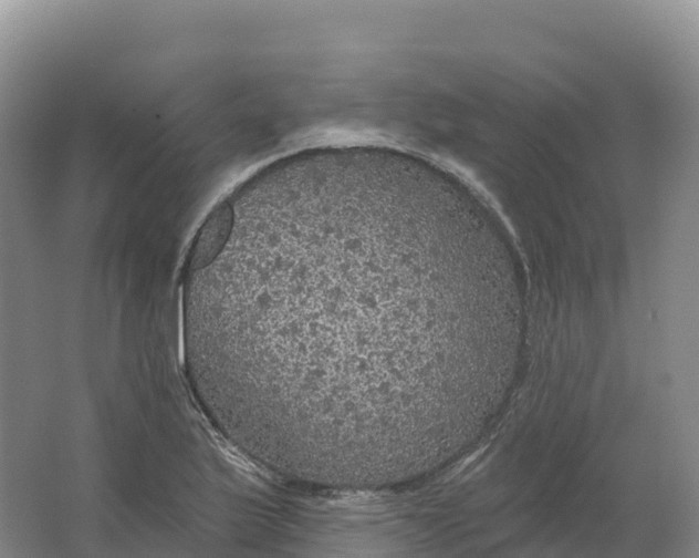 X0000064741175200602241745