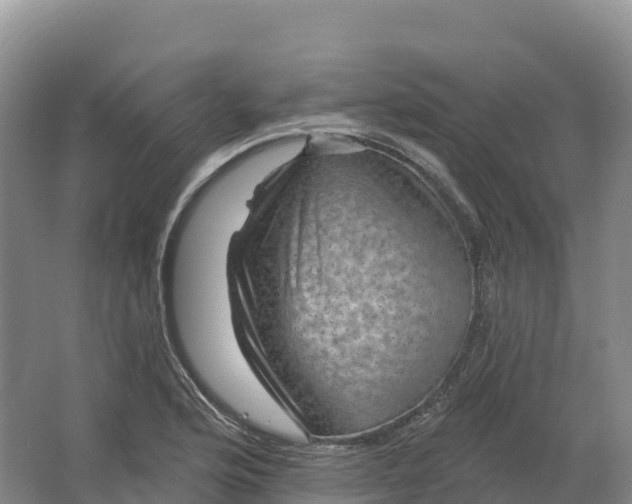 X0000064741176200602241745