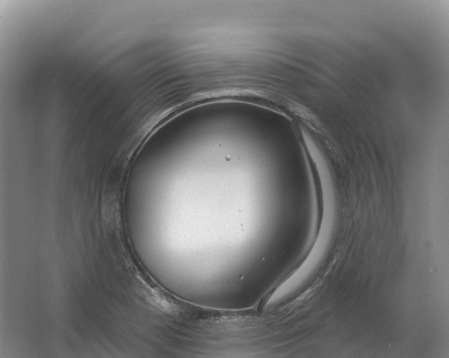 X0000064741177200602241745