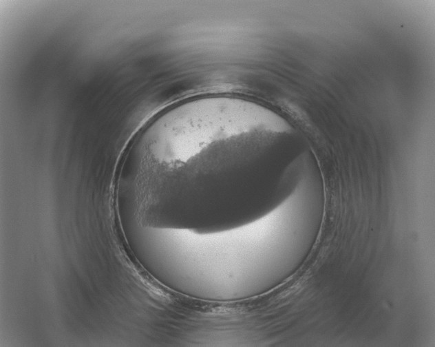 X0000064741178200602241745