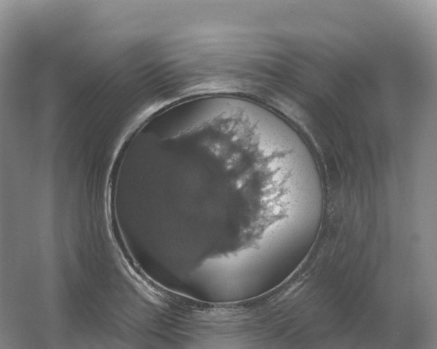 X0000064741179200602241745