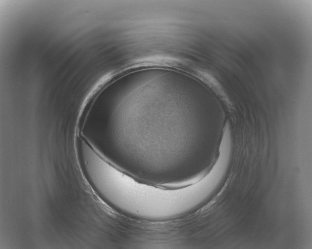 X0000064741180200602241745