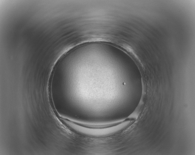 X0000064741181200602241745