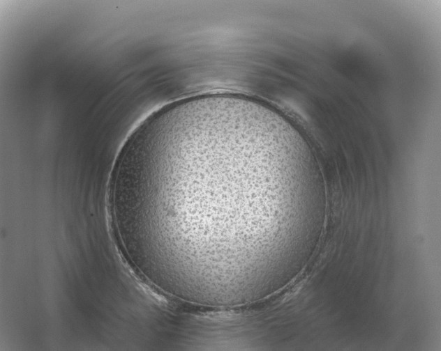 X0000064741182200602241745