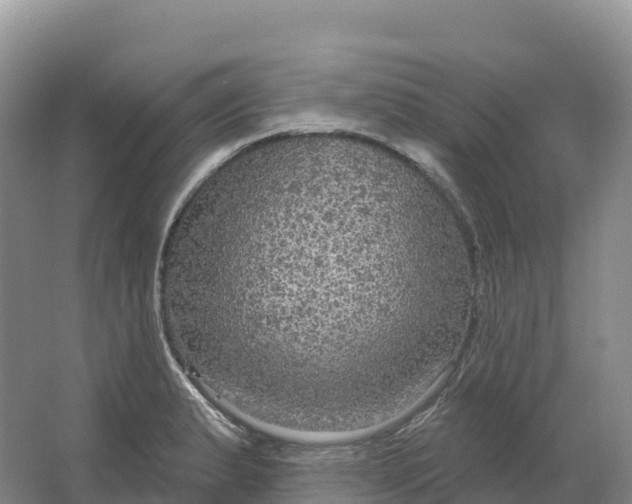 X0000064741183200602241745