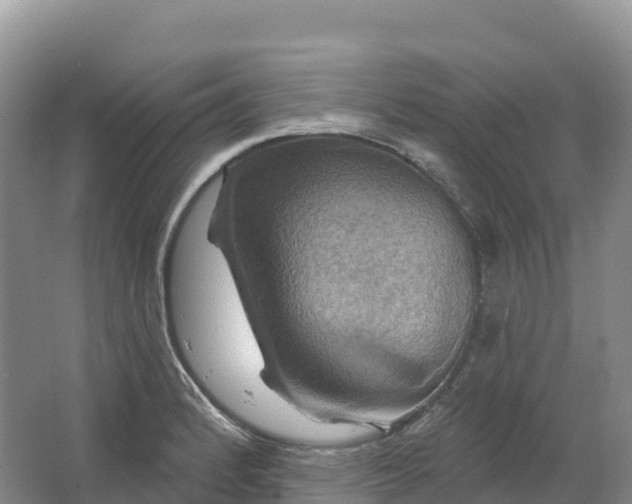 X0000064741184200602241745