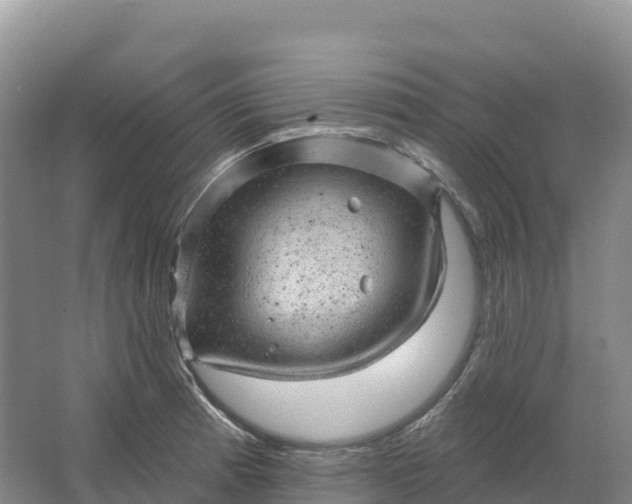 X0000064741185200602241745