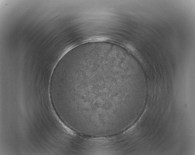 X0000064741186200602241745