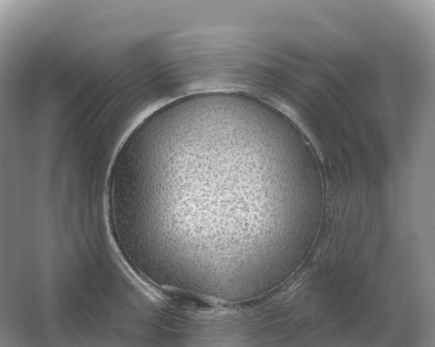 X0000064741187200602241745