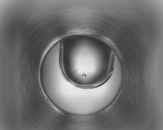 X0000064741188200602241745