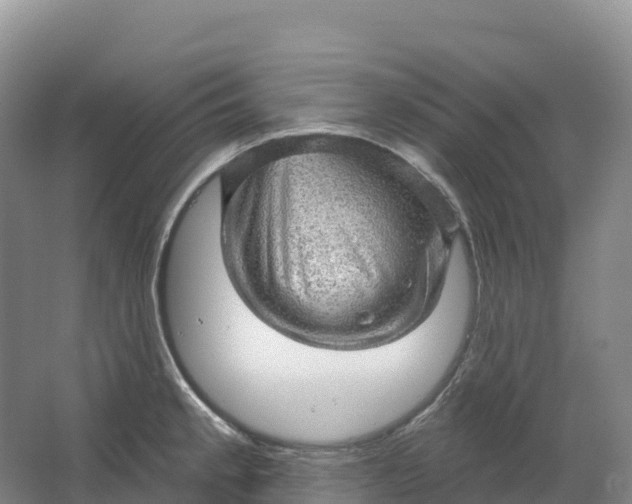 X0000064741189200602241745