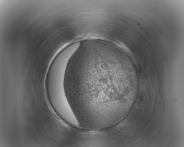 X0000064741190200602241745