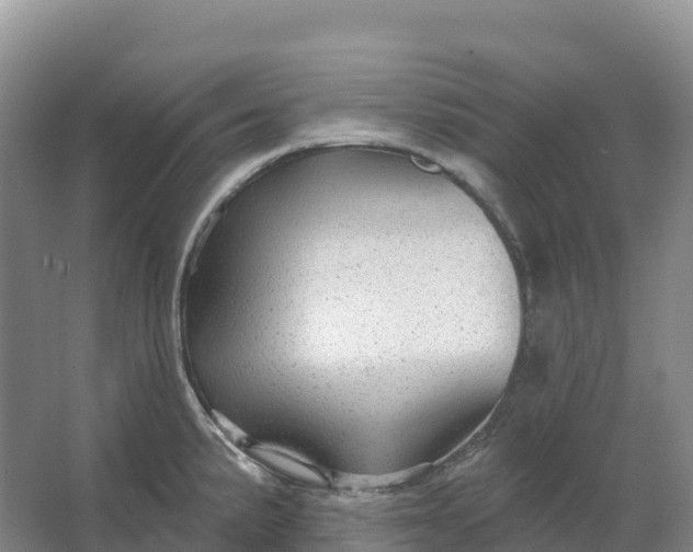 X0000064741191200602241745