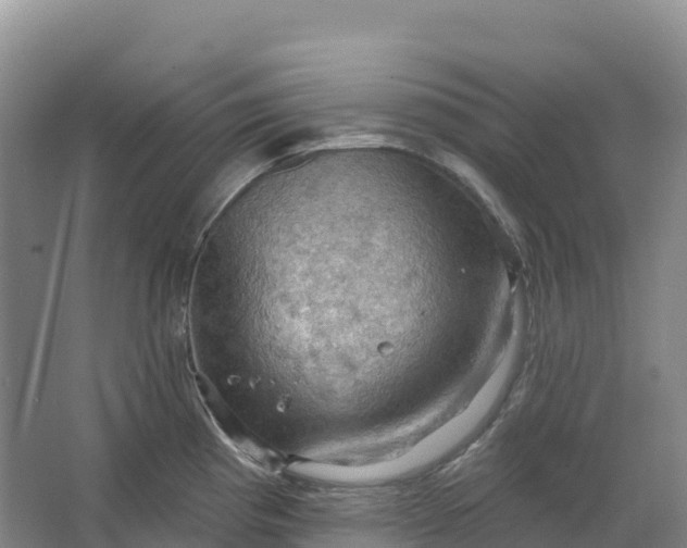 X0000064741193200602241745