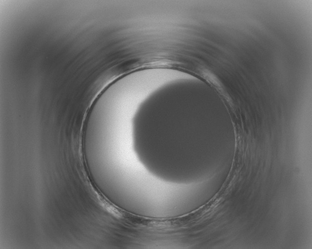 X0000064741194200602241745