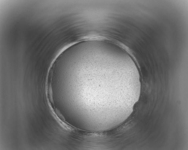 X0000064741195200602241745