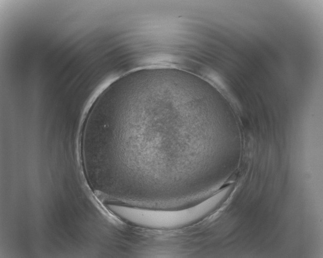 X0000064741196200602241745