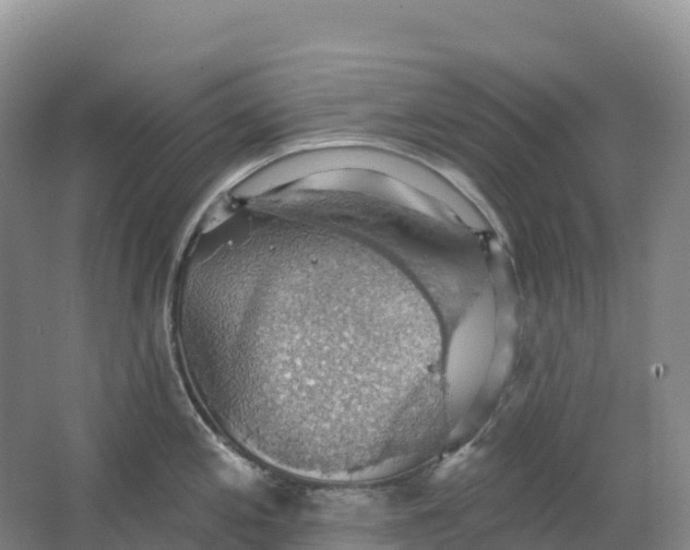 X0000064741197200602241745