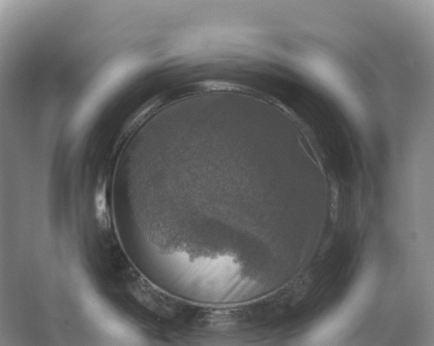 X0000064741198200602241745