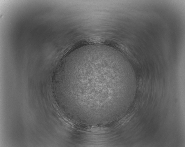 X0000064741201200602241744