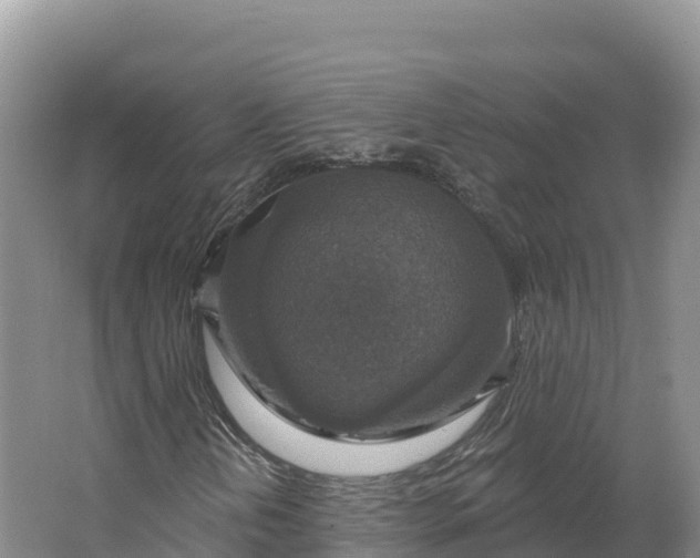 X0000064741202200602241744