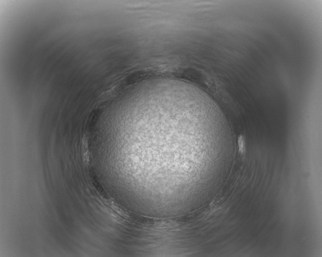 X0000064741203200602241744