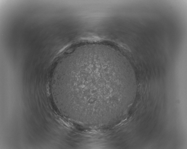 X0000064741205200602241744