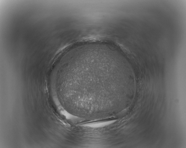 X0000064741206200602241744