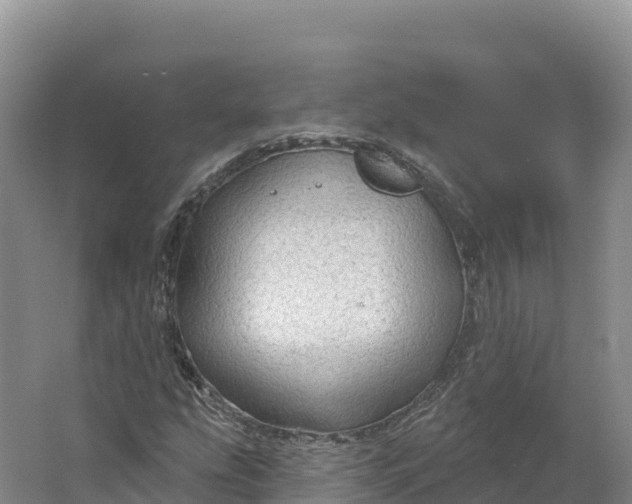 X0000064741207200602241744