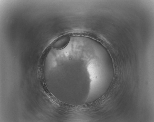 X0000064741208200602241744