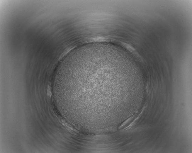 X0000064741209200602241744