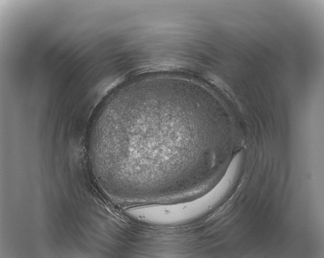 X0000064741210200602241744