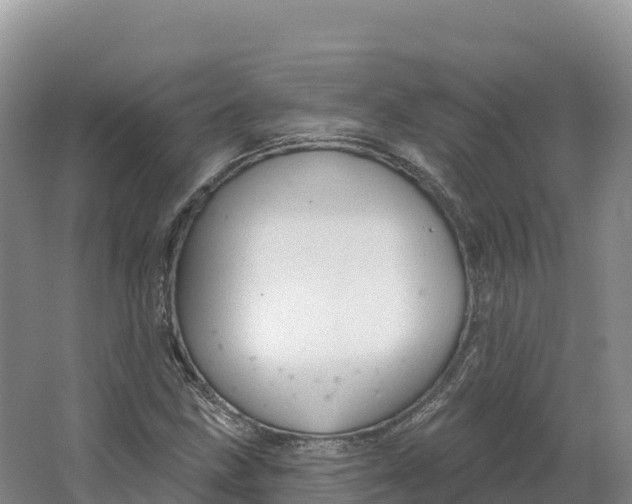 X0000064741211200602241744