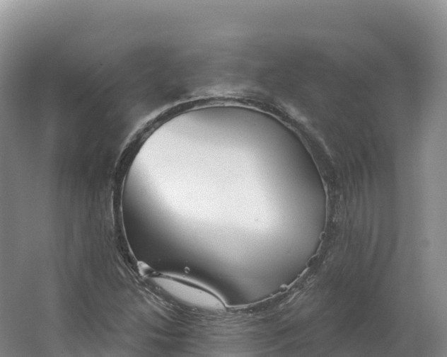 X0000064741214200602241744