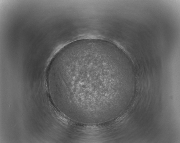 X0000064741215200602241744