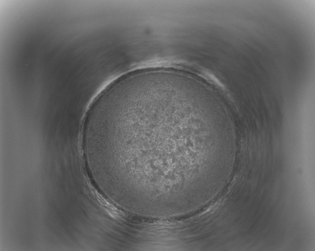 X0000064741216200602241744