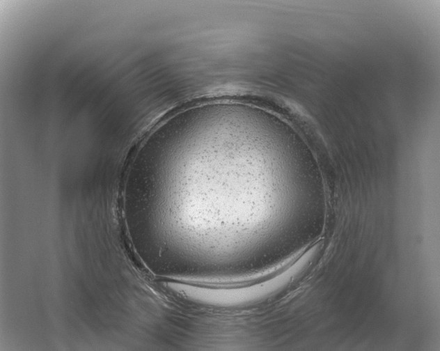 X0000064741217200602241744