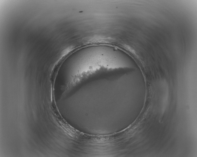 X0000064741219200602241744